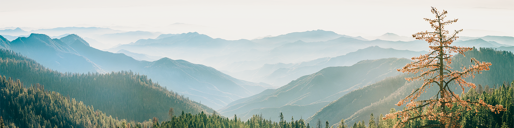 Kings Canyon National Park, Tulare County